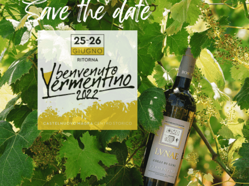 Benvenuto Vermentino 2022