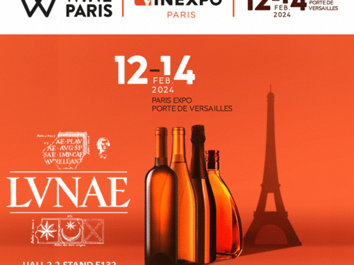 Wine Paris & Vinexpo Paris 2024