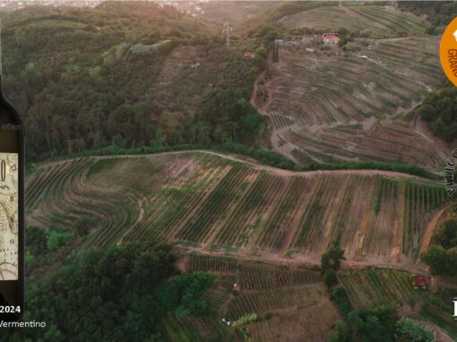 Mondial des Vins Extrêmes 2025