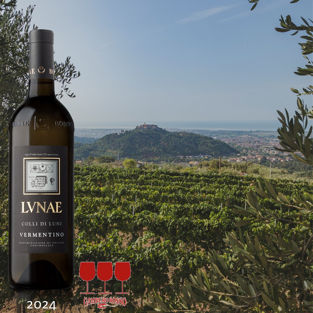 TreBicchieri 2026 Sfondo vigna